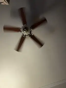 Snapshot of bb_empress chatting on December 1, 2025, 9:43 am bb empress online show from December 1, 2025, 9:43 am