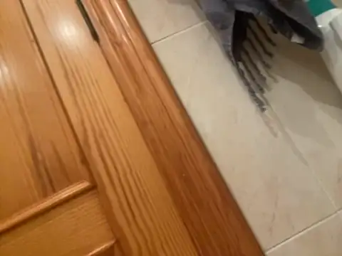 Snapshot of Guillermoperujo chatting on November 1, 2025, 7:13 am Guillermoperujo online show from November 1, 2025, 7:13 am