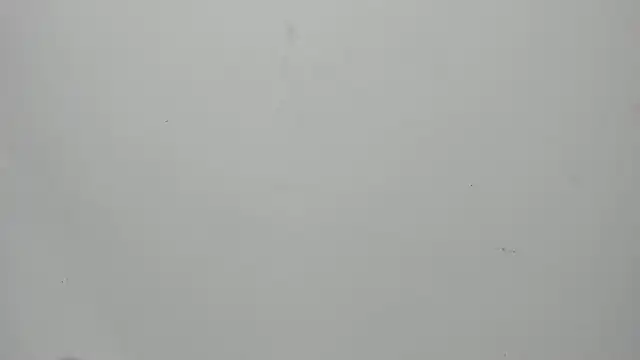 Snapshot of invincible200 chatting on September 15, 2025, 1:55 pm invincible200 online show from September 15, 2025, 1:55 pm