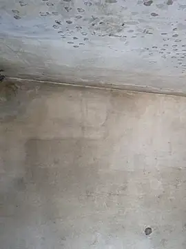 Sgaf39 online show from September 26, 2025, 9:16 am