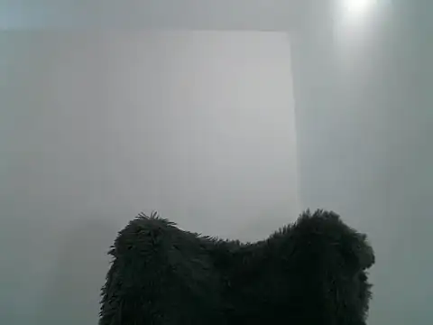 afrodhita hot online show from April 20, 2026, 5:47 pm