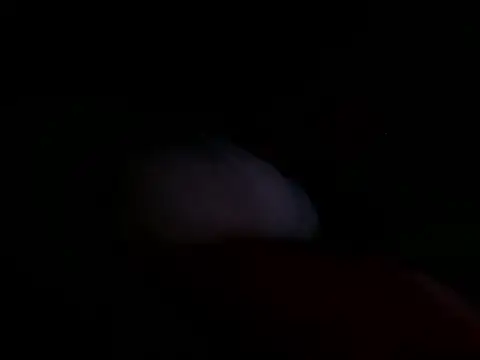 Snapshot of astridcollinsvip chatting on October 25, 2025, 10:36 am astridcollinsvip online show from October 25, 2025, 10:36 am