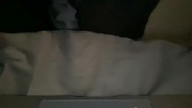 peterpapiNL online show from March 4, 2026, 7:32 pm