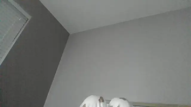 Snapshot of SexyKatiex chatting on December 2, 2025, 9:49 pm SexyKatiex online show from December 2, 2025, 9:49 pm