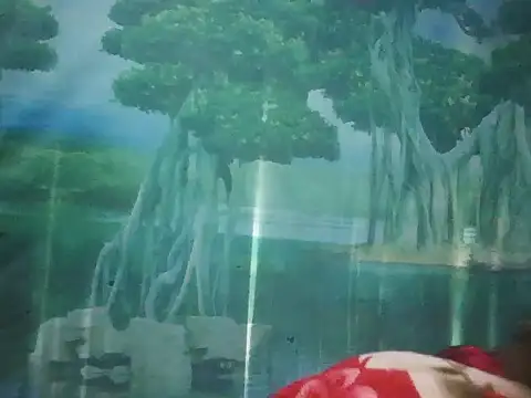 Snapshot of PhamPhung chatting on November 18, 2025, 2:49 am PhamPhung online show from November 18, 2025, 2:49 am