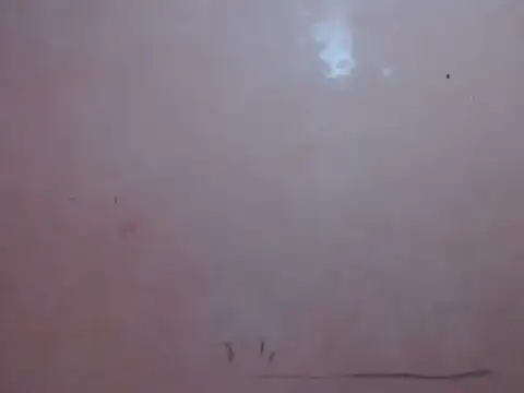 Kyoshi 19 online show from January 17, 2026, 7:34 am