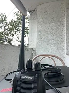 Sallem Pink online show from March 12, 2026, 11:25 am