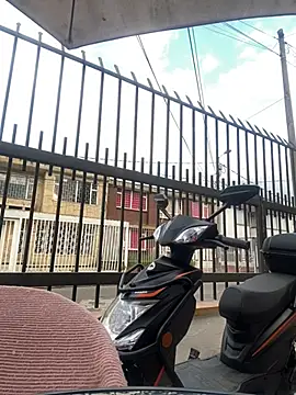 Sallem Pink online show from January 17, 2026, 11:25 am