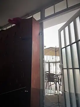 Sallem Pink online show from December 19, 2025, 11:12 am