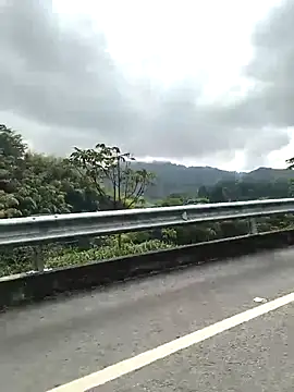 TamaraMera online show from January 7, 2026, 2:22 pm