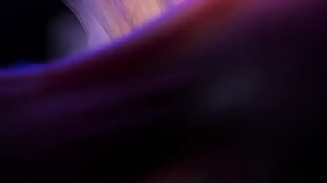 Widny Beaumont online show from November 22, 2025, 3:38 am