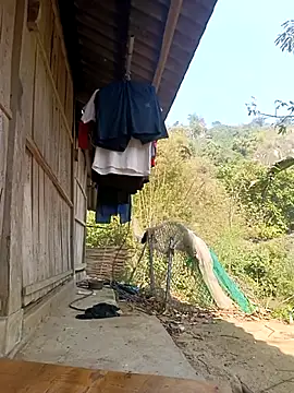 optra34 online show from March 1, 2026, 6:35 am