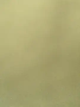 Lale-Adrian online show from January 13, 2026, 5:06 pm