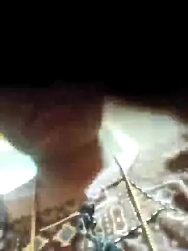 NISHU-TELUGU online show from February 4, 2026, 3:40 pm