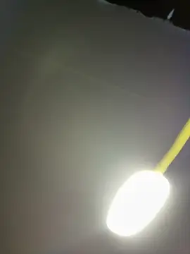 Snapshot of Sisuuu18 chatting on March 19, 2026, 5:46 pm Sisuuu18 online show from March 19, 2026, 5:46 pm