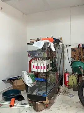 Snapshot of Terra-22cm chatting on February 13, 2026, 1:22 pm Terra-22cm online show from February 13, 2026, 1:22 pm