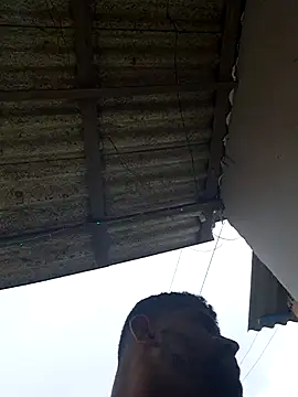 Negodabenga online show from February 20, 2026, 4:42 pm