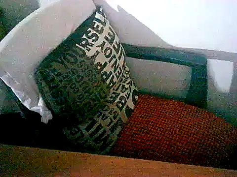 Snapshot of sacptjock83 chatting on December 17, 2025, 8:58 pm sacptjock83 online show from December 17, 2025, 8:58 pm