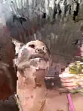 Snapshot of Rous-squir chatting on January 7, 2026, 7:08 pm Rous-squir online show from January 7, 2026, 7:08 pm