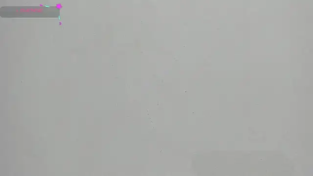 FluffyMelons online show from January 17, 2026, 12:04 am