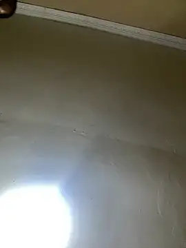 Snapshot of THICKBUNNYCHICKxxx chatting on December 14, 2025, 6:46 pm THICKBUNNYCHICKxxx online show from December 14, 2025, 6:46 pm