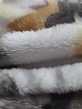 ratoncito 3 online show from February 23, 2026, 5:24 pm