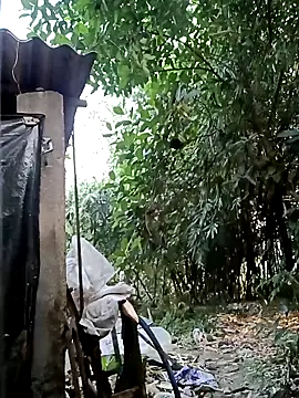 Hotty-rosni online show from November 15, 2025, 2:48 am