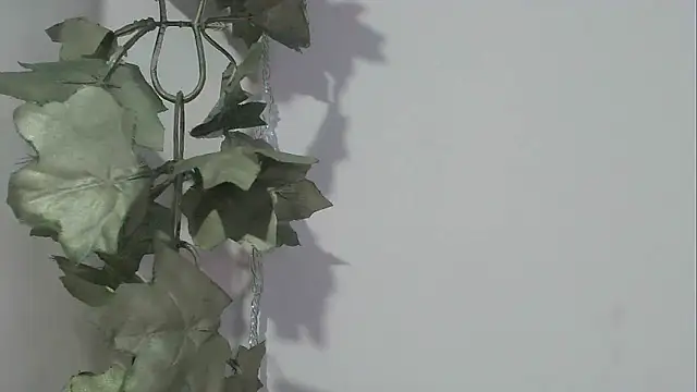 angelainparis28 online show from November 17, 2025, 8:24 pm