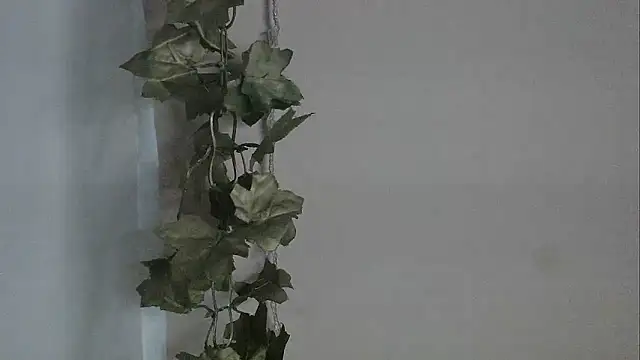 angelainparis28 online show from December 2, 2025, 5:09 am