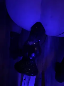 BottomCamp online show from February 3, 2026, 12:43 am