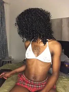 Snapshot of Trans_fairy chatting on October 6, 2025, 8:53 pm Trans fairy online show from October 6, 2025, 8:53 pm