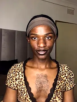 Snapshot of Trans_fairy chatting on October 11, 2025, 6:31 pm Trans fairy online show from October 11, 2025, 6:31 pm