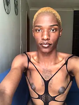 Snapshot of Trans_fairy chatting on September 9, 2025, 8:13 am Trans fairy online show from September 9, 2025, 8:13 am