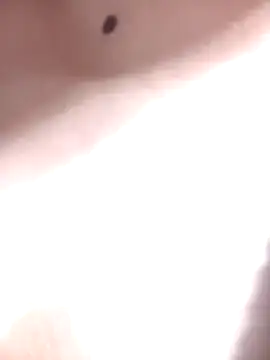 Snapshot of LINA-DALOUA chatting on November 28, 2025, 3:12 pm LINA-DALOUA online show from November 28, 2025, 3:12 pm