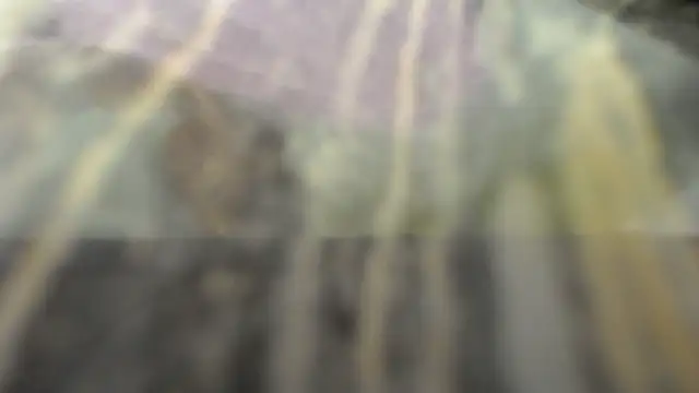 habdiela online show from October 28, 2025, 4:46 am