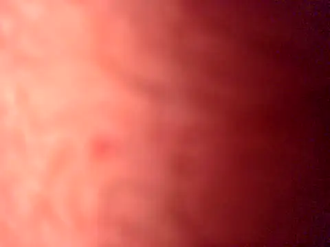 iamthepublickmasterbater online show from April 19, 2026, 3:57 pm