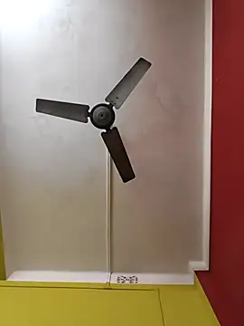 susmicpl online show from February 3, 2026, 5:29 pm