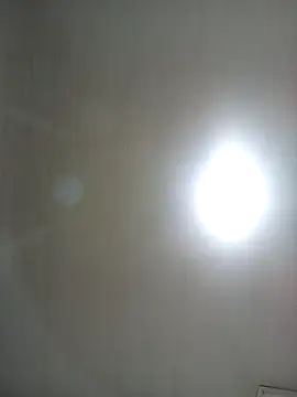 amelie sex online show from December 13, 2025, 11:00 pm