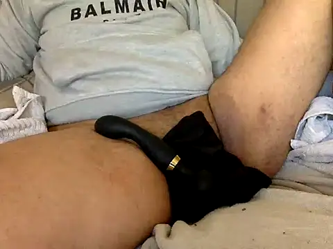 Snapshot of CaiBull chatting on February 24, 2026, 8:48 am CaiBull online show from February 24, 2026, 8:48 am