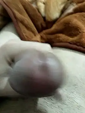 Zepe 12 online show from January 8, 2026, 5:19 pm