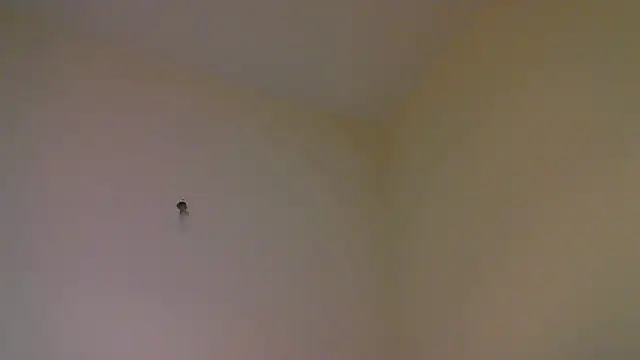 Snapshot of str8matesirishoz chatting on October 15, 2025, 4:00 am str8matesirishoz online show from October 15, 2025, 4:00 am