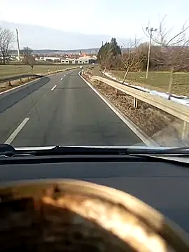 fickfreund019 online show from February 20, 2026, 2:52 pm