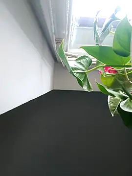 Czarnoksieznik online show from November 2, 2025, 12:10 pm