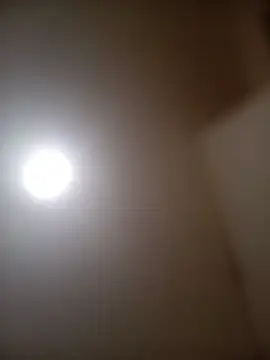 abigail vertiz124- online show from January 17, 2026, 3:21 am