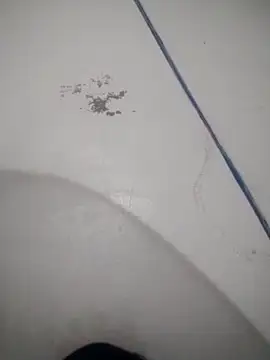 Celestial Field online show from April 9, 2026, 4:46 pm