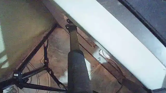 Terraelowen online show from March 24, 2026, 1:11 pm