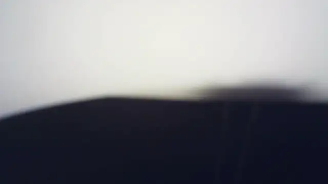 Terraelowen online show from March 21, 2026, 1:26 pm