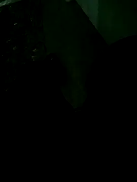 armndo4 online show from October 6, 2025, 6:36 am