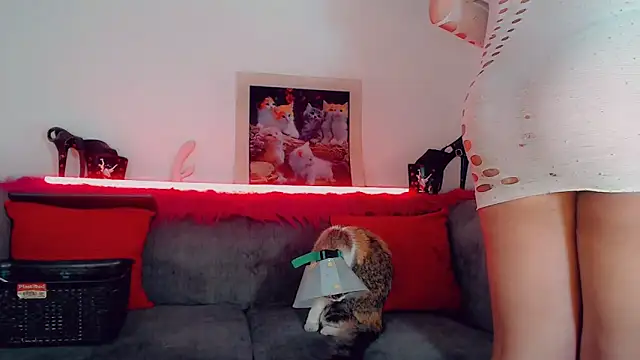 vicky gill online show from October 8, 2025, 3:46 pm