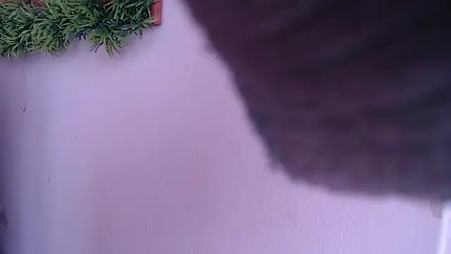 Snapshot of IVONNE_COLLINS33 chatting on September 24, 2025, 1:50 pm IVONNE COLLINS33 online show from September 24, 2025, 1:50 pm